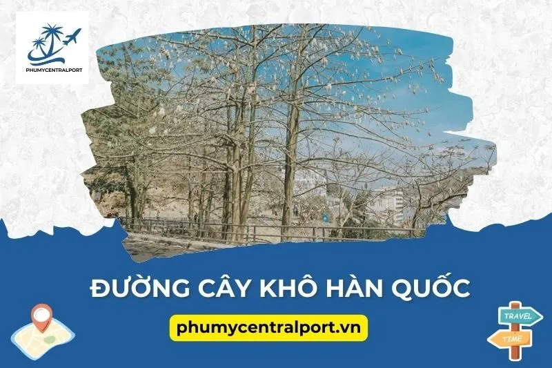 Đường cây khô Hàn Quốc